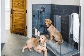 I went to rome _ learn italian. Dog Showers In Your House You Just Might Need One The Dog People By Rover Com