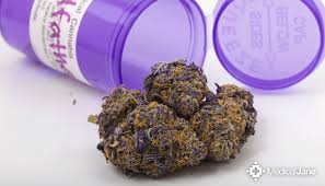 List kush names and pictures. Medical Marijuana Strain Reviews By Medical Jane