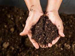 Gravel must be on the bottom. Best Compost To Buy For Vegetable Garden