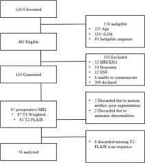 Examining The Identification Of Age Related Atrophy Between T1 And T1 T2 Flair Cortical Thickness Measurements Scientific Reports Elizabeth meriwether's flair for writing comedy has landed her jobs on both coasts in theater, film and television.
