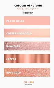 Create the perfect palette or get inspired by thousands of beautiful color schemes. View 17 Palette Rose Gold Color Scheme