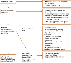 Diagnosis And Investigation Of Chronic Kidney Disease In Cats Cannon 2016 In Practice Wiley Online Library