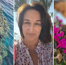 ✨️💗🎄💗✨️