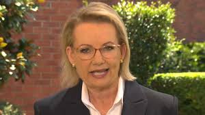 Irish expat Eion Sweeney in critical condition after being hit by an  ambulance in Surry Hills, Sydney