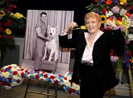 Birthday star bouquet $ 74.99. Creative Flower Arrangement For Fitness Legend Jack Lalanne Next Gen Memorials
