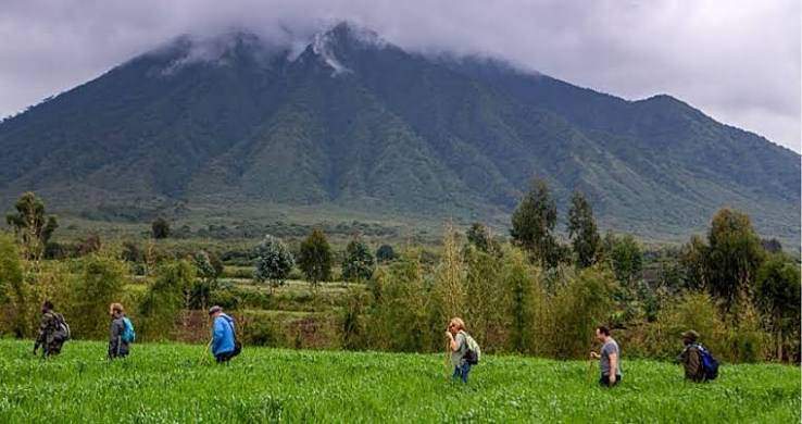 6 Days Gorillas and Chimpanzees Primate Safari