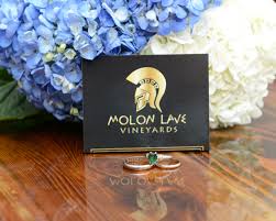 We always go the extra mile to make your floral gift perfect. Our Partners Sweet Simple Weddings