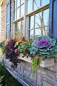 Check spelling or type a new query. 15 Fall Flower Boxes Ideas Flower Boxes Fall Flower Boxes Fall Window Boxes