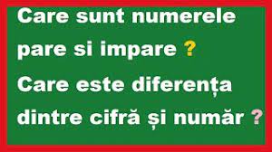 Una cifra es un símbolo o carácter gráfico que sirve para representar un número. Care Sunt Numerele Pare Impare DiferenÈa Dintre CifrÄ Èi NumÄr Calculare Youtube