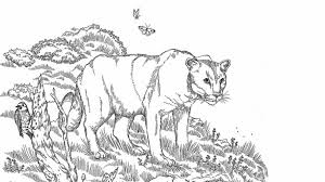 Welcome to the world of super coloring pages. Color Me Wonderful Natural History Museums Of Los Angeles County