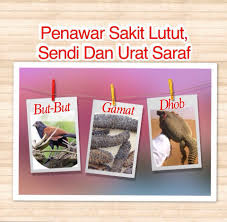 Apa kata dr azrul tentang sakit lutut dan supplement berkesan untuk sakit lutut. Penawar Sakit Lutut Sendi Dan Urat Saraf Minyak But But Ajaib