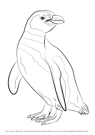 How To Draw A Magellanic Penguin Drawingtutorials101 Com Drawings Magellanic Penguin Animal Silhouette