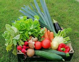 Cultures Bussche Magasin Bio La Ferme Bio Magasin Bio A Comines Fruits Legumes Epicerie France Lille Armentiaires