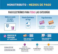 Prestadores de servicios y vendedores de debés tener en cuenta que la cuota mensual del monotributo incluye aportes a la jubilación y a la. Afip Pagos