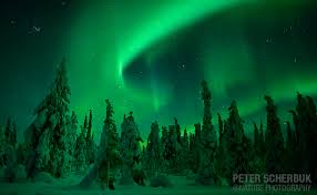 Das nördliche polarlicht ist an wolkenfreien nächten und auf organisierten reisen zu etwa 90% zu sehen. Polarlichter Uber Finnisch Lappland Foto Bild Himmel Universum Polarlichter Finnland Bilder Auf Fotocommunity