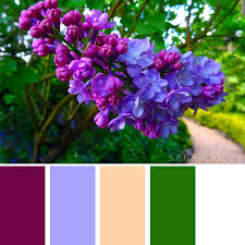 More than 10k templates, transitions, vfx, and sfx presets. 24 Best Flower Inspired Color Palettes Sarah Titus From Homeless To 8 Figures