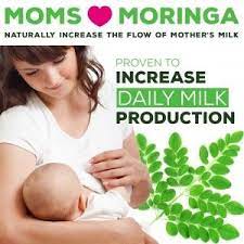 Pin On Moringa Oleifera Benefits