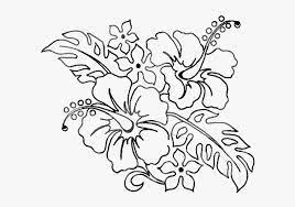 Diynetwork.com master gardener maureen gilmer shares her secrets to growing great flowers. Flower Pen Drawing Tropical Flower Coloring Pages Hd Png Download Transparent Png Image Pngitem