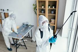 Seasonal Pest Control Guide Delhi NCR