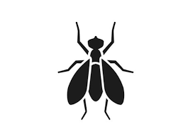 Our goal is to provide our rochester area customers with quality pest control solutions at affordable prices. Pest Control Fly Tech Extermination Pest Control