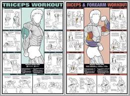 arm workout instructional 2 poster professional fitness wall