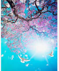 Wallpaper bunga keren terbaru customized 3d flower wallpaper living. Bunga Sakura Wallpaper Aqua Turquoise Blossom Teal Cherry Blossom Flower Design Pattern Plant Branch 1850990 Wallpaperkiss