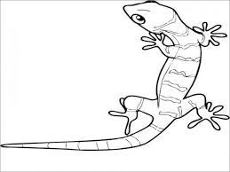 This is the perfect dinosaur coloring page to begin with. Cute Lizard Coloring Pages Novocom Top