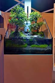 Paludarium With Real Bonsai Trees Planted Aquarium Aquascape Aquascape Aquarium