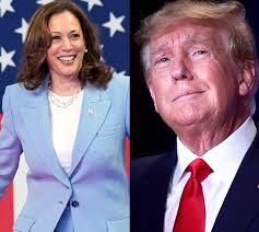 Democratic strategist Reyahd Kazmi says that the Kamala Harris' momentum is  happening. He tells NewsNation that Harris is spending a lot of time going  to deep red areas of swing states like