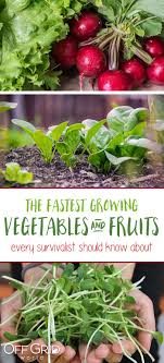 I know some fruit takes longer than others to grow ( several. Pin On Plants