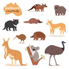 Advance single reversible end bowl (no tap hole) 1503. 15 403 Australian Animals Cliparts Stock Vector And Royalty Free Australian Animals Illustrations