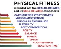 Laura williams is a fitness expert and advocate with … Components Of Fitness General Health Quiz Quizizz