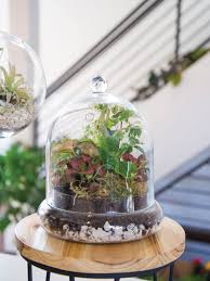 Glass Cloche Terrarium Kit Large Gardener S Supply In 2020 Terrariums Kits Glass Cloche Terrarium