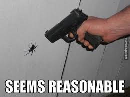 Funny Cute Pics Spiders Funny Funny Pictures Humor