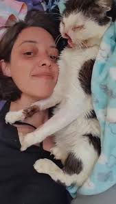 Yuki the Fluffy Biscuits Cat