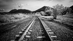 Photography nature black and white background. 50 Black And White Photography Wallpaper On Wallpapersafari