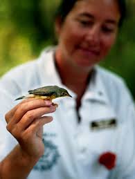 Nashville Then: 25 years ago in August 1994