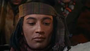 Nikki, Wild Dog of the North (1961)