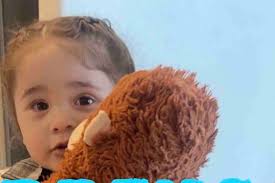 Fundraiser by Violet Sanchez : #HelpBringGioHome