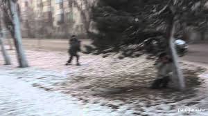 Повествование о разрушительной боре 1997 года. Dobryj Veter Bora Ili Kak Gorod Byl Gotov K Stihii Drive2