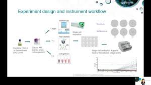 Check spelling or type a new query. Comparison Of Traditional Cloning Methods Vs Cloneselect Single Cell Printer F Sight Using Cho Cell Lines Commonly Used For Monoclonal Antibody Production Molecular Devices