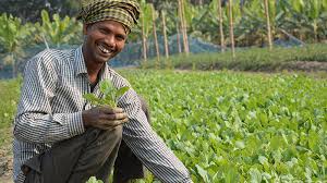 Sbi kcc is available for farmers in. à¤• à¤¸ à¤¨ à¤• à¤° à¤¡ à¤Ÿ à¤• à¤° à¤¡ Kcc à¤• à¤¯ à¤¹ à¤µ à¤• à¤¸ à¤® à¤² à¤— à¤² à¤¨ à¤µ à¤¬ à¤¯ à¤œ à¤¦à¤° à¤• à¤ª à¤° à¤œ à¤¨à¤• à¤° The Post Mayor Hindi
