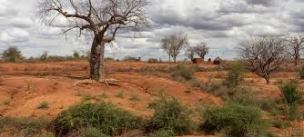 في اليوم العالمي لمكافحة التصحر والجفاف تركيز على صلة التصحر بالهجرة والتحديات التنموية أخبار الأمم المتحدة