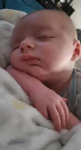 Obituary information for Dakota Lee Phillips