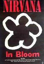 In bloom, cape town, western cape. Nirvana In Bloom Video 1992 Imdb