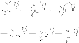 (biochemistry) an enzyme that cuts or cleaves proteins. Cysteine Protease Inhibitors Cambridge Medchem Consulting