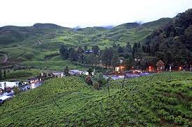 Kebun teh gunung mas puncak bogor jawa barat. Agrowisata Gunung Mas Kebun Teh Walini Puncak 2021 All You Need To Know Before You Go With Photos Tripadvisor