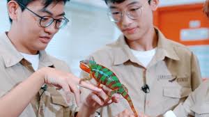 How Toni Kingston inspires young people and helps interns explore career  opportunities