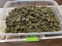 4.4 out of 5 stars 6,622. Auto G13 3 Grow Journal Harvest14 By Growdiaries
