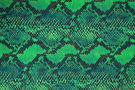 Hd00:13cobra snake attacks green screen front 3d rendering animation. Snake Prints Green Black Spandex World